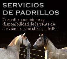 Servicios de padrillos