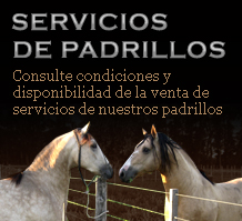 Servicios de padrillos