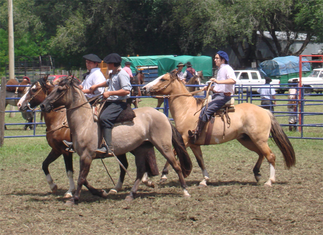 EQUIPO APARTE CAMPERO EL CHUSCO