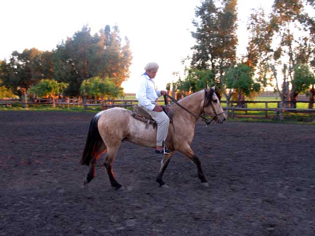 CHUSCO EL CAPITANEJO