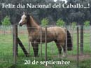 DIA NACIONAL DEL CABALLO