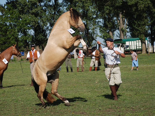 CHUSCO EL GLADIADOR